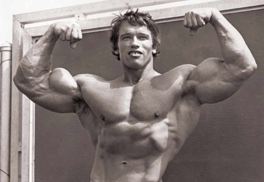 Arnold 6 Exercises