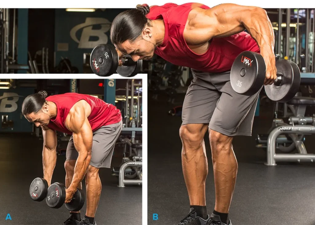 Rear Delt Exercises 