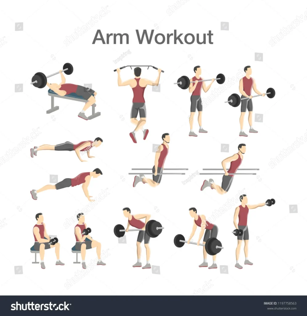 Top 10 Best Arm Workouts to Try Today!